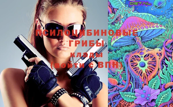 дживик Лихославль