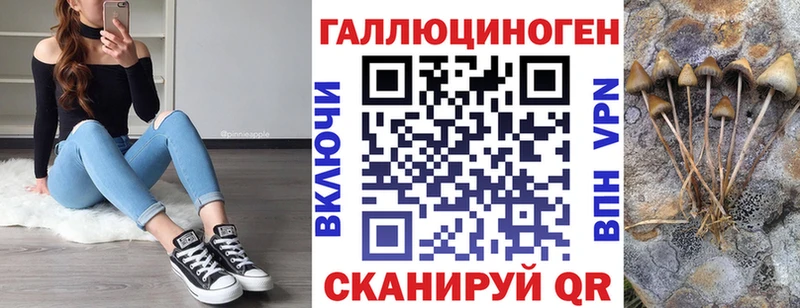 где можно купить Красково blacksprut как войти Псилоцибиновые грибы ЛСД